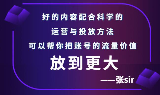 【副业项目3305期】（怎么投dou+快速涨粉）张sir账号流量增长课，让你的流量更精准-中创 网赚