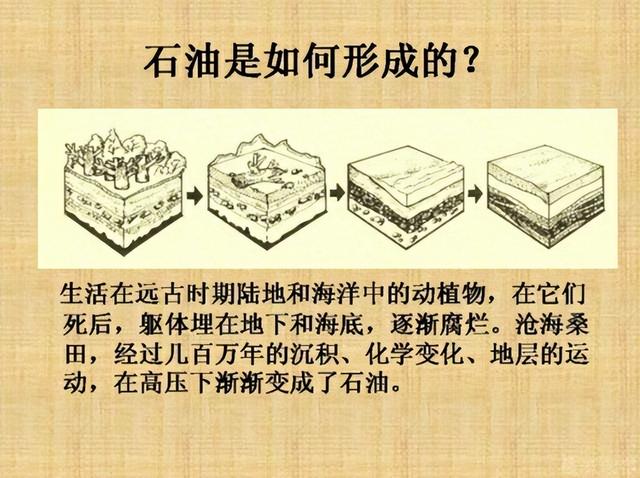 沙特到底多有钱插图13