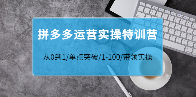 【副业项目3863期】拼多多运营实操特训营：拼多多直通车进阶优化技巧，拼多多如何操作利润最大化-中创 网赚