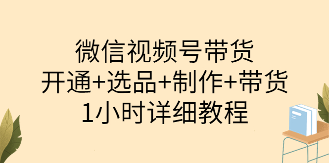 【副业项目3940期】陈奶爸·微信视频号带货：开通+选品+制作+带货（1小时详细教程）-中创 网赚