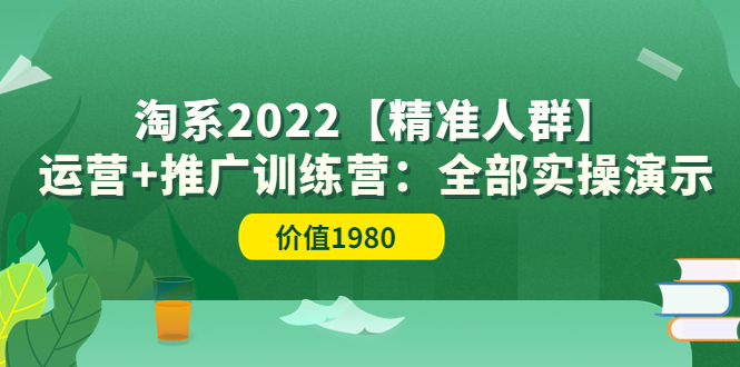 【副业项目3941期】淘系2022【精准人群】运营+推广训练营：全部实操演示-中创 网赚