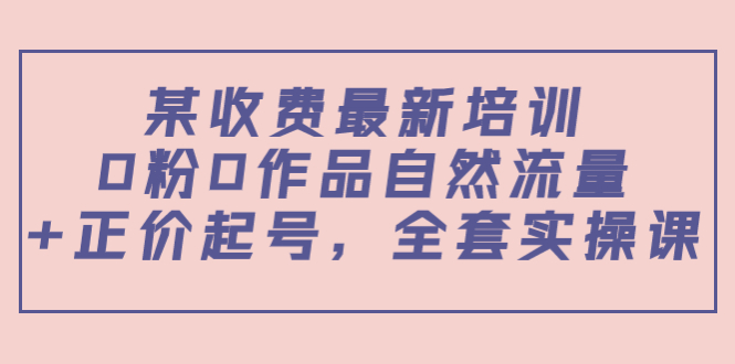 【副业项目4039期】某收费最新培训：0粉0作品自然流量+正价起号，全套实操课-中创 网赚