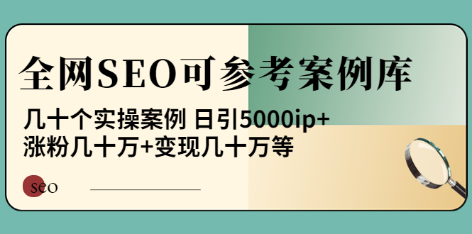 【副业项目4188期】《全网SEO可参考案例库》几十个实操案例 日引5000ip+涨粉百W+变现几十W等-中创 网赚