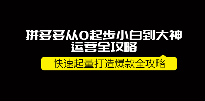 【副业项目4227期】拼多多从0起步小白到大神运营全攻略，快速起量打造10W+爆款全攻略-中创 网赚