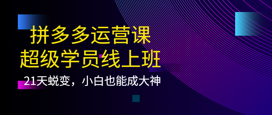 【副业项目4260期】拼多多运营课：超级学员线上班，21天蜕变，小白也能成大神-中创 网赚