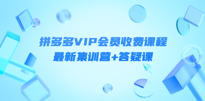 【副业项目4426期】某社群·拼多多VIP会员收费课程，最新集训营+答疑课-价值3299元-中创 网赚