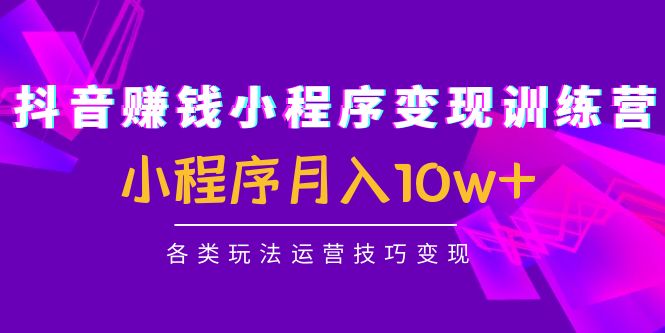 【副业项目4765期】抖音赚钱小程序变现训练营：小程序月入10w+各类玩法运营技巧变现-中创 网赚