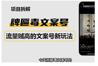 【副业项目4912期】2023抖音快手毒文案新玩法，牌匾文案号，起号快易变现-中创 网赚