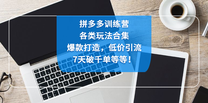 【副业项目4925期】拼多多训练营：各玩法合集，爆款打造，低价引流，7天破千单等等-中创 网赚