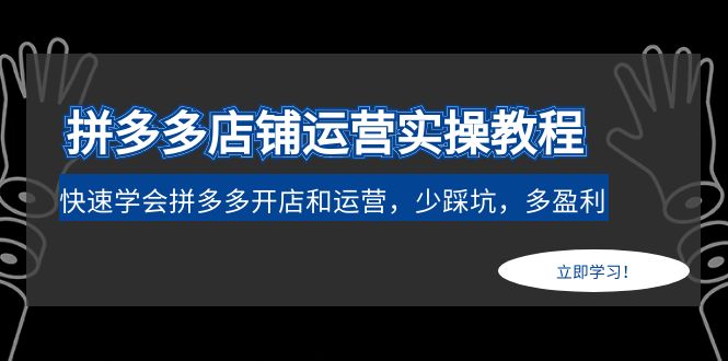 【副业项目5088期】拼多多店铺运营实操教程：快速学会拼多多开店和运营，少踩坑，多盈利-中创 网赚