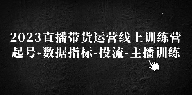 【副业项目5282期】2023直播带货运营线上训练营，起号-数据指标-投流-主播训练-中创 网赚