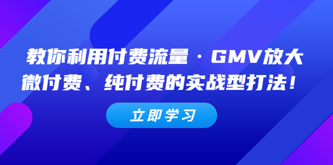 【副业项目5265期】教你利用付费流量·GMV放大，微付费、纯付费的实战型打法-中创 网赚