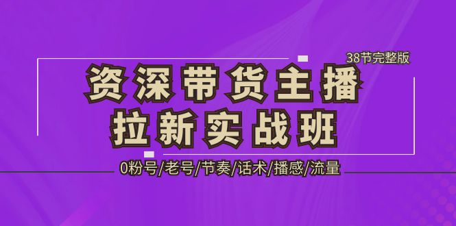 【副业项目5333期】资深·带货主播拉新实战班，0粉号/老号/节奏/话术/播感/流量-38节完整版-中创 网赚