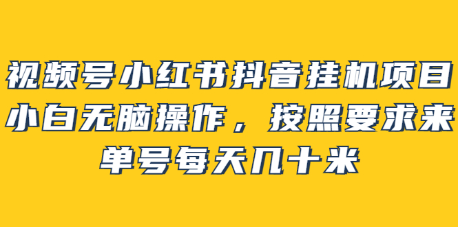 【副业项目2904期】视频号小红书抖音挂机项目，小白无脑操作，按照要求来，单号每天几十米-中创 网赚