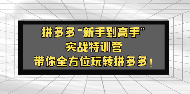 【副业项目5317期】拼多多“新手到高手”实战特训营：带你全方位玩转拼多多-中创 网赚