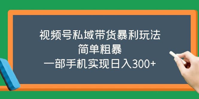 【副业项目5627期】视频号私域带货暴利玩法，简单粗暴，一部手机实现日入300+-中创 网赚