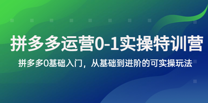 【副业项目5801期】拼多多-运营0-1实操训练营，拼多多0基础入门，从基础到进阶的可实操玩法-中创 网赚