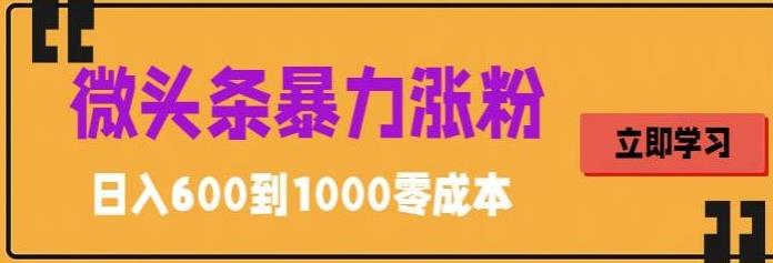 【副业项目5970期】微头条暴力涨粉技巧搬运文案就能涨几万粉丝，简单0成本，日赚600-中创 网赚