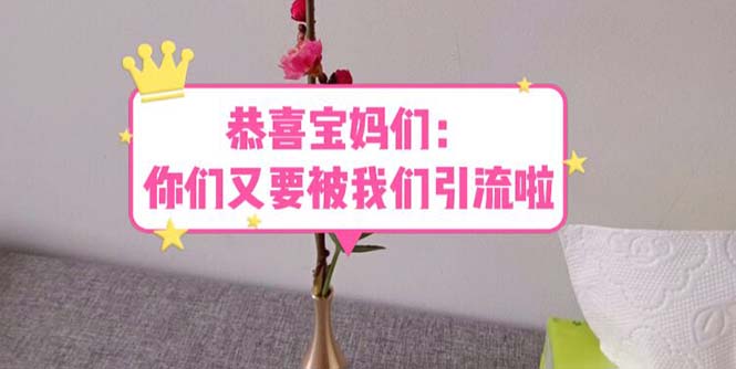 【副业项目5918期】恭喜宝妈们：你们又要被我们引流了（教程+222g资料）-中创 网赚