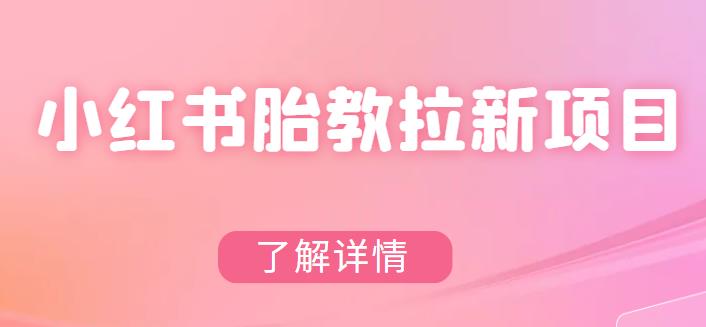 【副业项目6099期】小红书胎教网盘拉新项目，可在私域变现两次（作品制作教程+素材）-中创 网赚