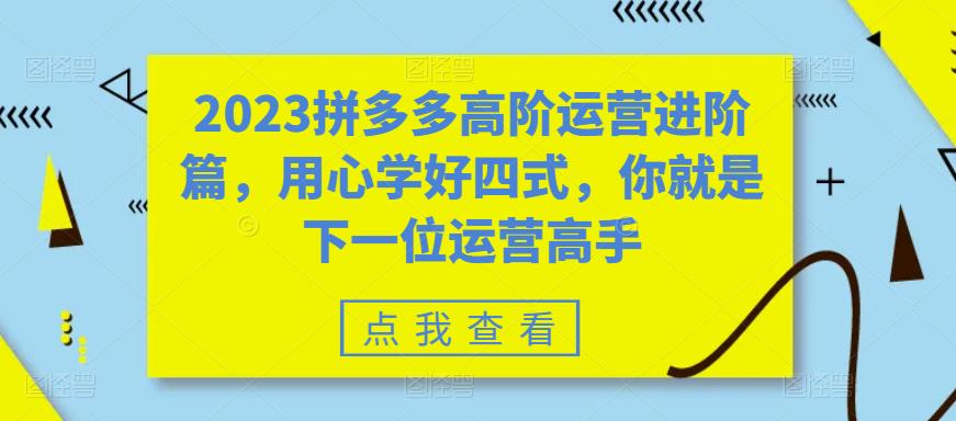 【副业项目6241期】2023拼多多高阶运营进阶篇，用心学好四式，你就是下一位运营高手-中创 网赚