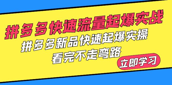 【副业项目6310期】拼多多-快速流量起爆实战，拼多多新品快速起爆实操，看完不走弯路-中创 网赚