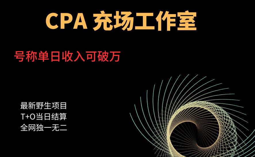 【副业项目6075期】cpa充场工作室，号称单日收入10000+（揭秘）-中创 网赚