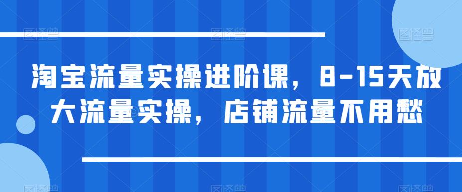 【副业项目6415期】淘宝流量实操进阶课，8-15天放大流量实操，店铺流量不用愁-中创 网赚