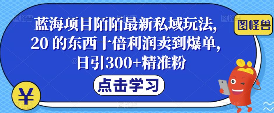 【副业项目6699期】蓝海项目陌陌最新私域玩法，20 的东西十倍利润卖到爆单，日引300+精准粉【揭秘】-中创 网赚