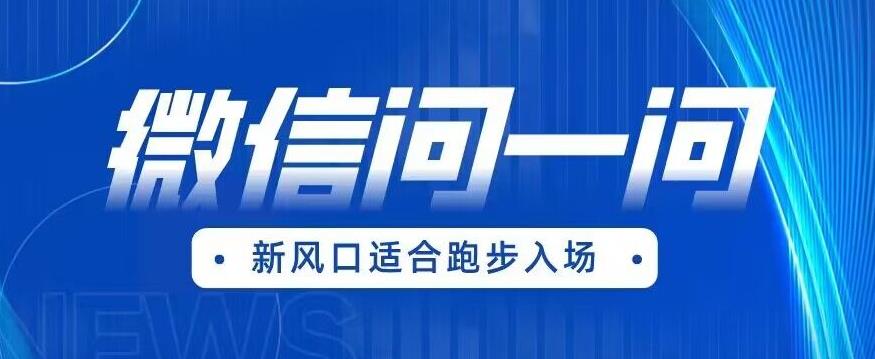 【副业项目6729期】全网首发微信问一问新风口变现项目（价值1999元）【揭秘】-中创 网赚