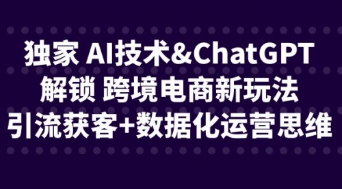 【副业项目6780期】独家 AI技术&ChatGPT解锁 跨境电商新玩法，引流获客+数据化运营思维-中创 网赚