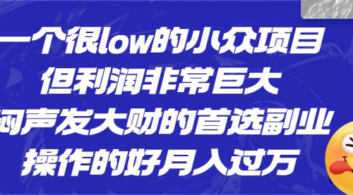 【副业项目6782期】一个很low的小众项目，但利润非常巨大，闷声发大财的首选副业，月入过万-中创 网赚