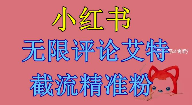 【副业项目6846期】小红书无限评论艾特截流精准粉（软件+教程）-中创 网赚