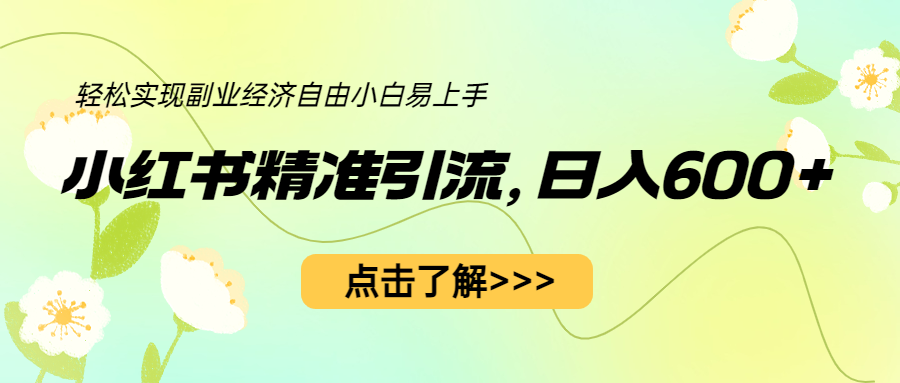 【副业项目6650期】小红书精准引流，小白日入600+，轻松实现副业经济自由（教程+1153G资源）-中创 网赚