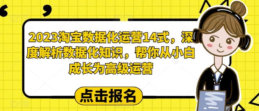 【副业项目6599期】2023淘宝数据化-运营 14式，深度解析数据化知识，帮你从小白成长为高级运营-中创 网赚