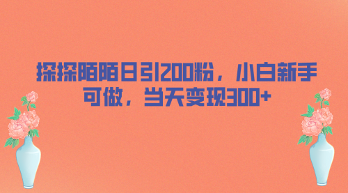 【副业项目7026期】探探陌陌日引200粉，小白新手可做，当天就能变现300+-中创 网赚