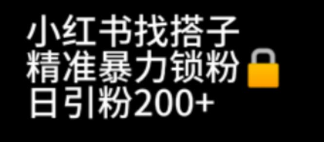 【副业项目7040期】小红书找搭子暴力精准锁粉+引流日引200+精准粉-中创 网赚