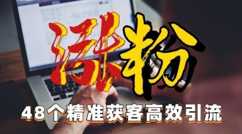 【副业项目7097期】独家分享48个引流绝技，再没粉丝只能怪自己了！-中创 网赚