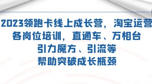 【副业项目7677期】2023领跑·卡 线上成长营 淘宝运营各岗位培训 直通车 万相台 引力魔方 引流-中创 网赚