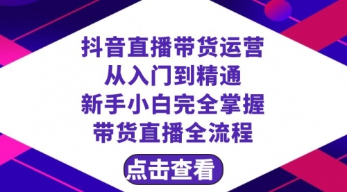 【副业项目8483期】抖音直播带货 运营从入门到精通，新手完全掌握带货直播全流程（23节-中创 网赚