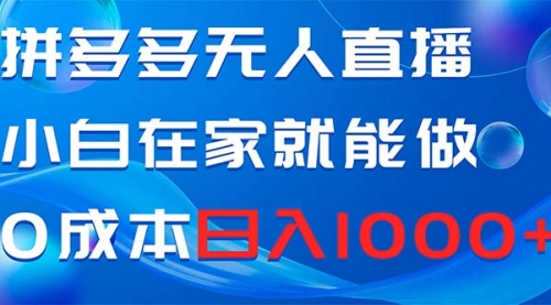 【副业项目8603期】拼多多无人直播，小白在家就能做，0成本日入1000+-中创 网赚