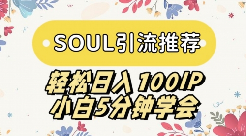 【副业9006期】SOUL引流推荐 轻松日入100IP 小白5分钟学会-中创 网赚