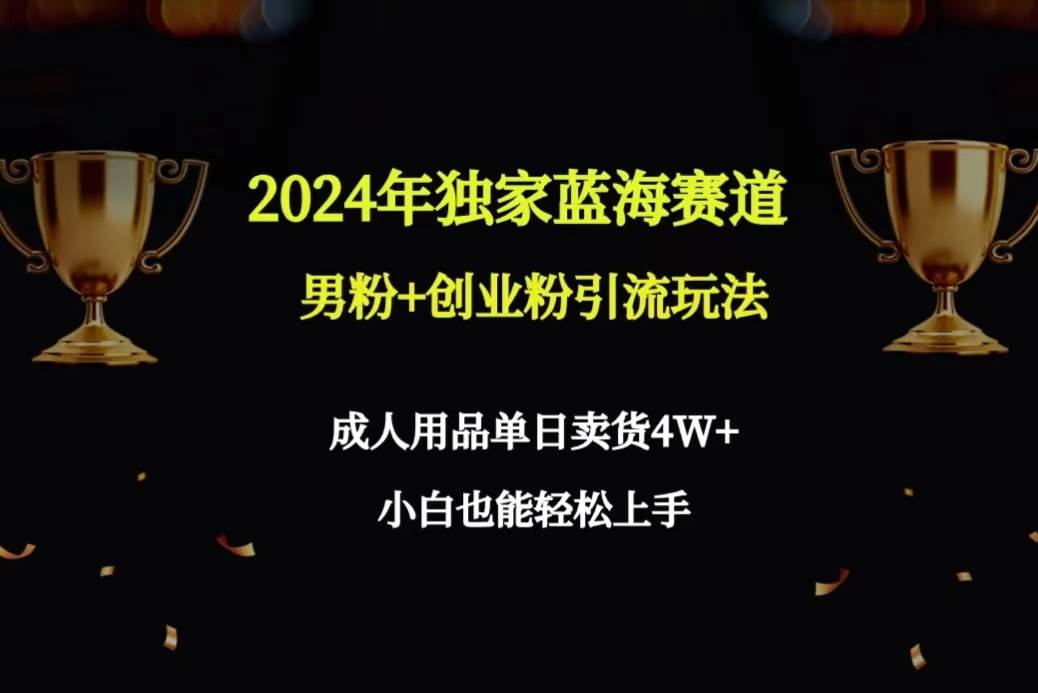 2024年独家蓝海赛道男粉+创业粉引流玩法，成人用品单日卖货4W+保姆教程-中创 网赚