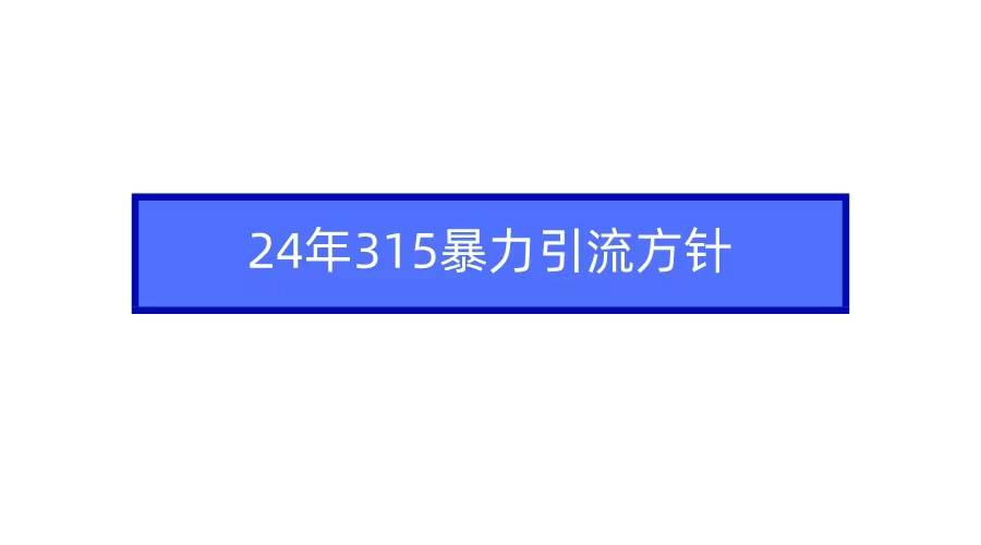 2024年315暴力引流方针-中创 网赚