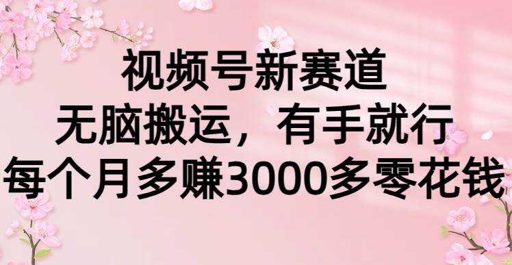 视频号新赛道，无脑搬运，有手就行，每个月多赚3000多零花钱-中创 网赚