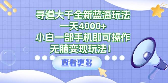 寻道大千全新蓝海玩法，一天4000+，小白一部手机即可操作，无脑变现玩法！-中创 网赚