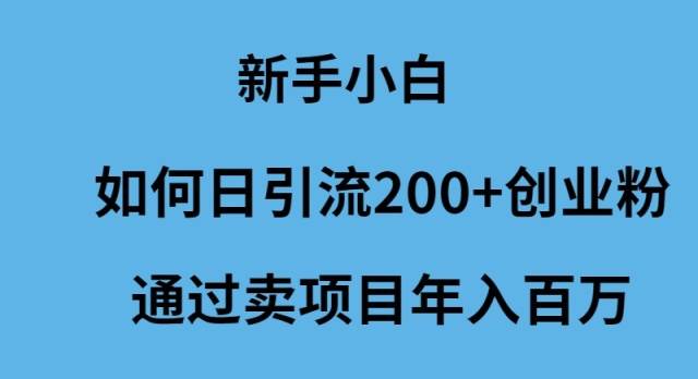 新手小白如何日引流200+创业粉通过卖项目年入百万-中创 网赚