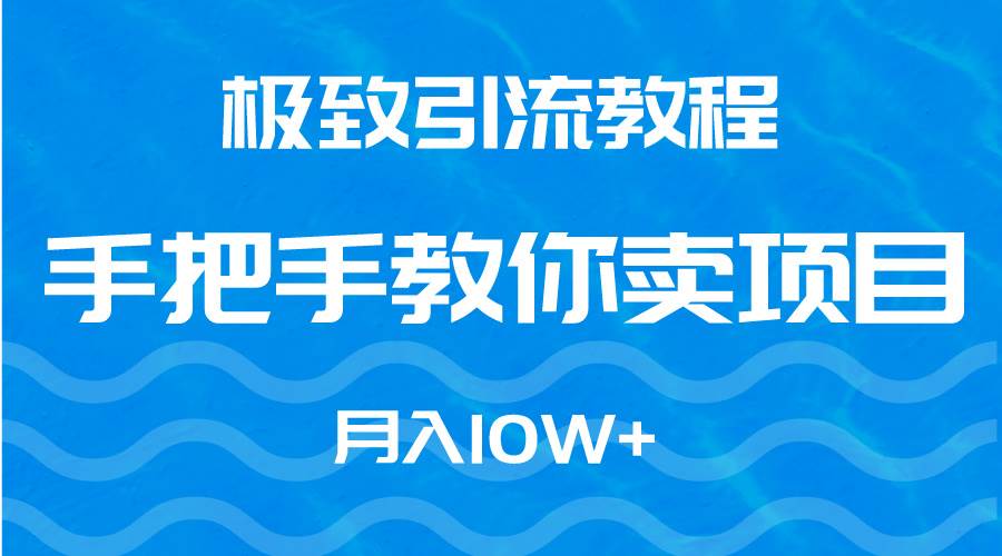 极致引流教程，手把手教你卖项目，月入10W+-中创 网赚