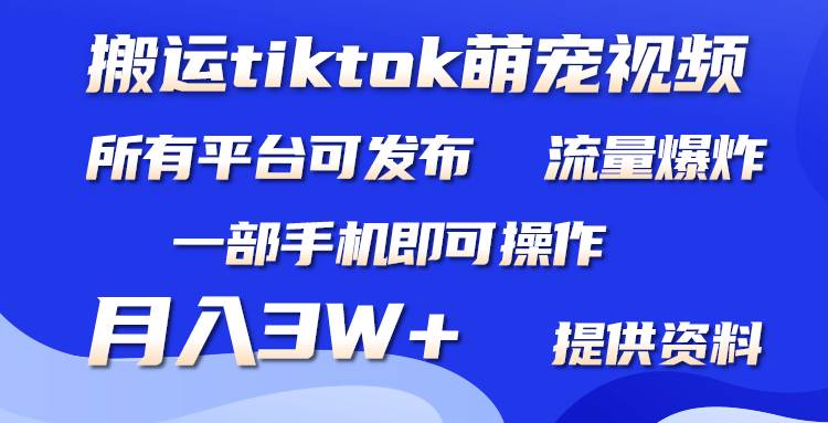 搬运Tiktok萌宠类视频，一部手机即可。所有短视频平台均可操作，月入3W+-中创 网赚