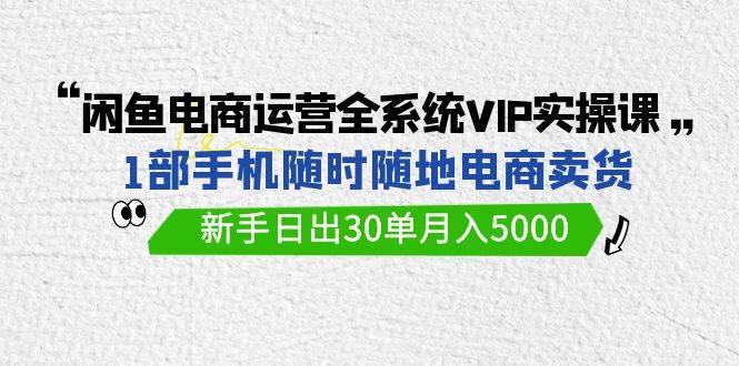 闲鱼电商运营全系统VIP实战课，1部手机随时随地卖货，新手日出30单月入5000-中创 网赚